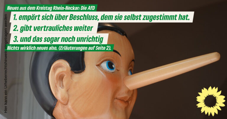 (Nichts) neues aus dem Kreistag: Mit der AfD ist kein Staat zu machen!