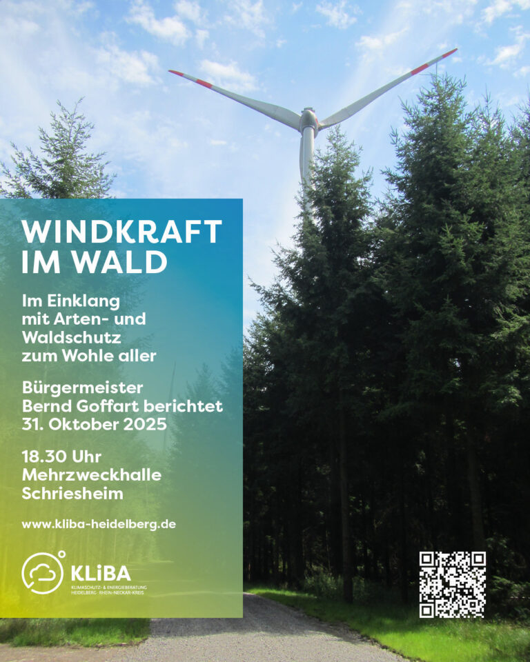 Windenergie im Wald? Ein Bericht aus der Eifel